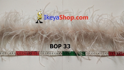 BOP 33  large2